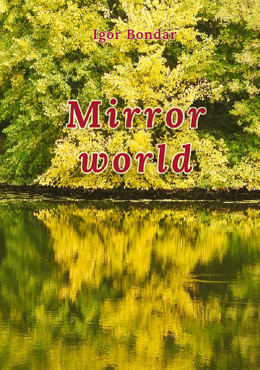 Mirror world