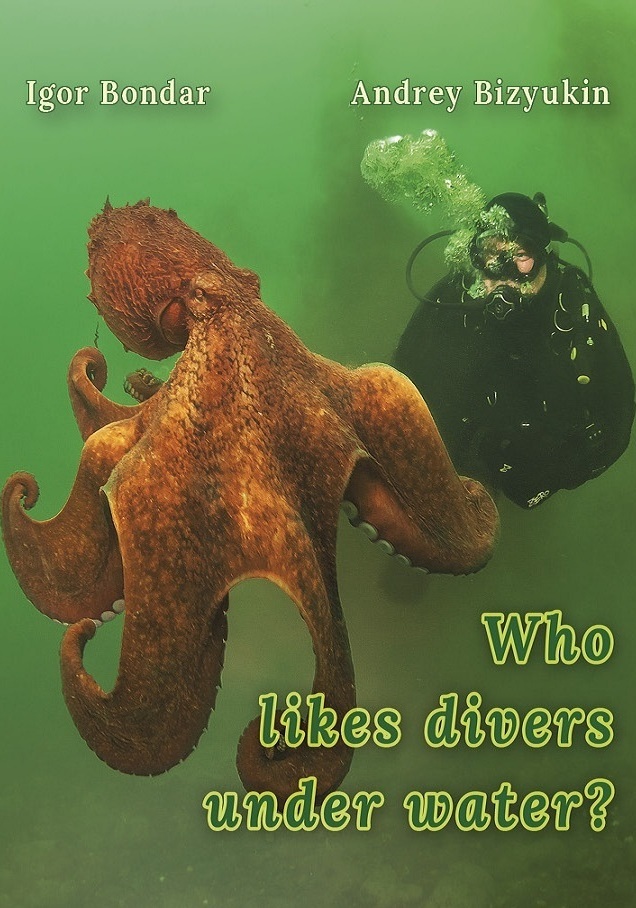 Who likes divers under water