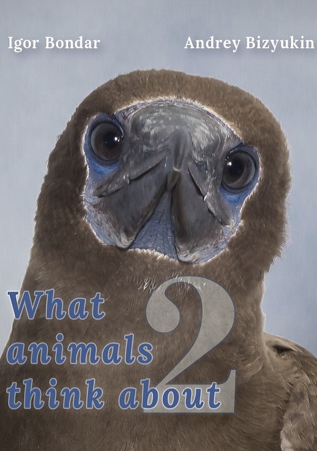 What animals think about 2